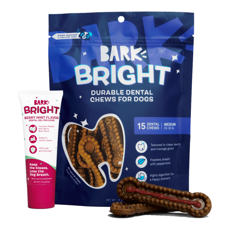 BRIGHT DURABLE CHEW BUNDLE BERRY TOOTHPASTE MEDIUM 0020 SHADOW