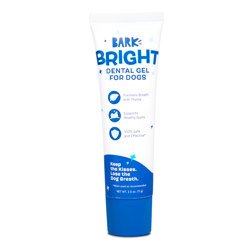 BRIGHT TOOTHPASTE V2 1117 SHADOW