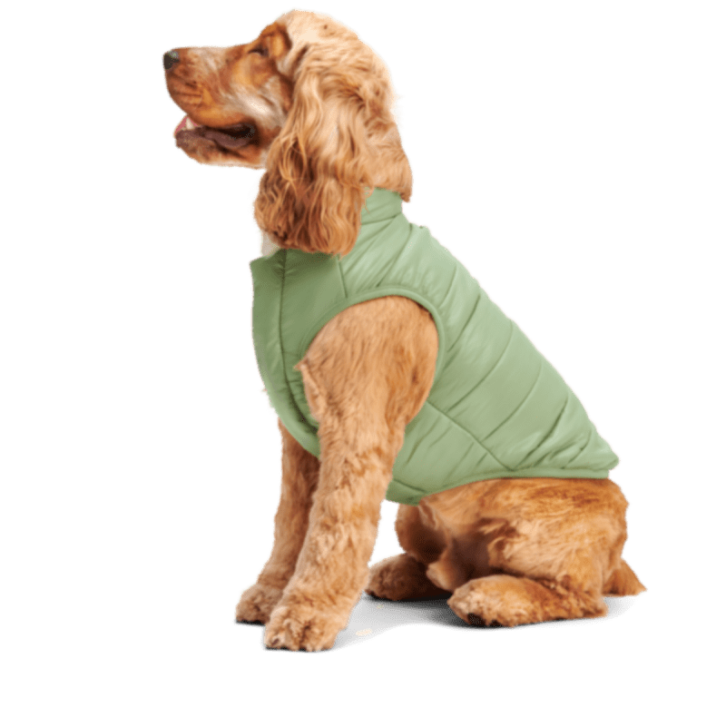 HOME ATB GWP 213005 PUFFY PUPPER VEST OLIVE M L 1250 1200x800 9b9f185