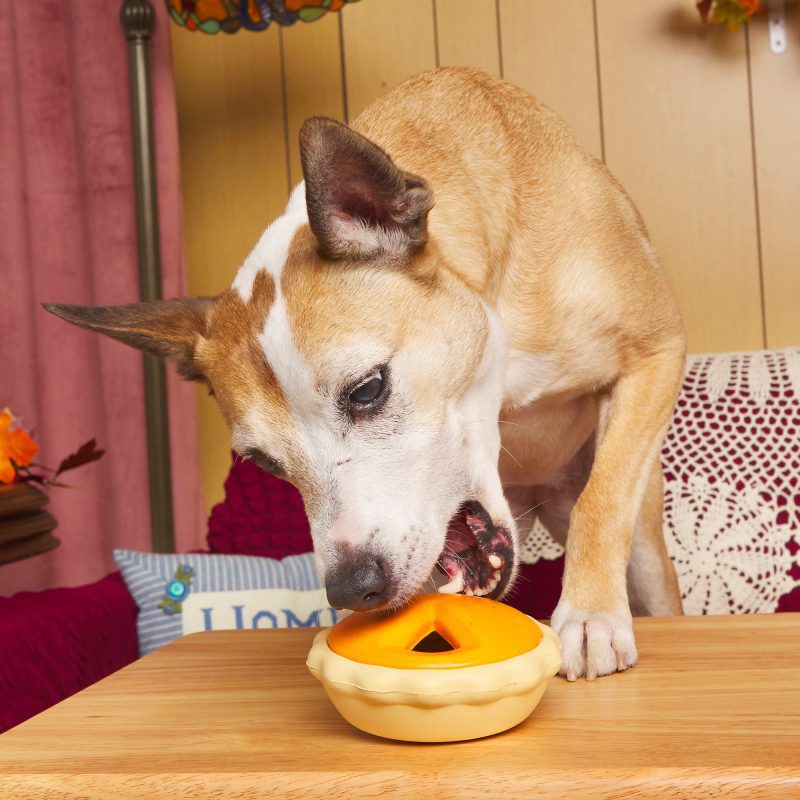 SC 210981 CHOMPKIN PIE M L TRAY TABLE 2082