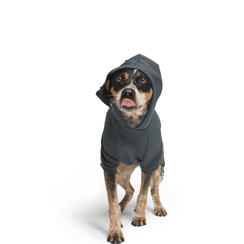 SC GWP CHARCOAL HOODIE 24648 1200x800 9b9f185