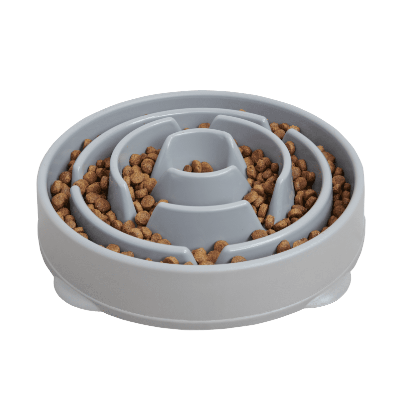 SLOW FEEDER WITH KIBBLE ANGLE